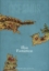Imagem de Revista Oceanos n.º 46 - Ilhas Fantásticas