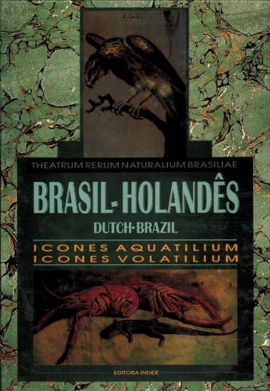 Imagem de Brasil - Holandês