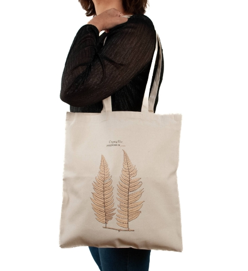 Imagem de Saco POLYPODIUM repandum