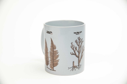 Imagem de Caneca - Coleção Flora Fluminense Passiflora ( polypodium repandum,cacalia sessilia e polypodium inverrsum)