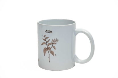 Imagem de Caneca - Coleção Flora Fluminense Passiflora (hibiscus trilobatus,viola summa e waltheria monogynia)