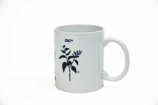Imagem de Caneca - Coleção Flora Fluminense Passiflora (hibiscus trilobatus,viola summa e waltheria monogynia)