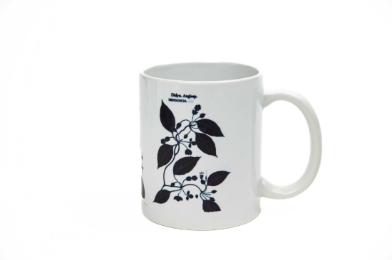 Imagem de Caneca - Coleção Flora Fluminense Passiflora ( polypodium repandum,cacalia sessilia e polypodium inverrsum)
